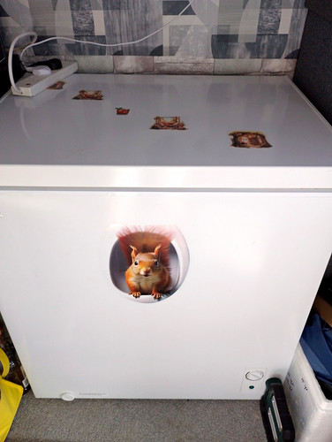 White chest freezer - chest,